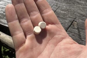 Mushroom Chewable